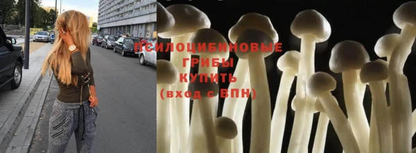 прущий лед Ельня