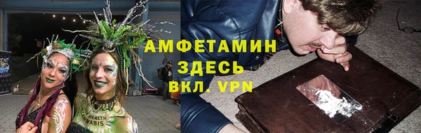 ПСИЛОЦИБИНОВЫЕ ГРИБЫ Балабаново